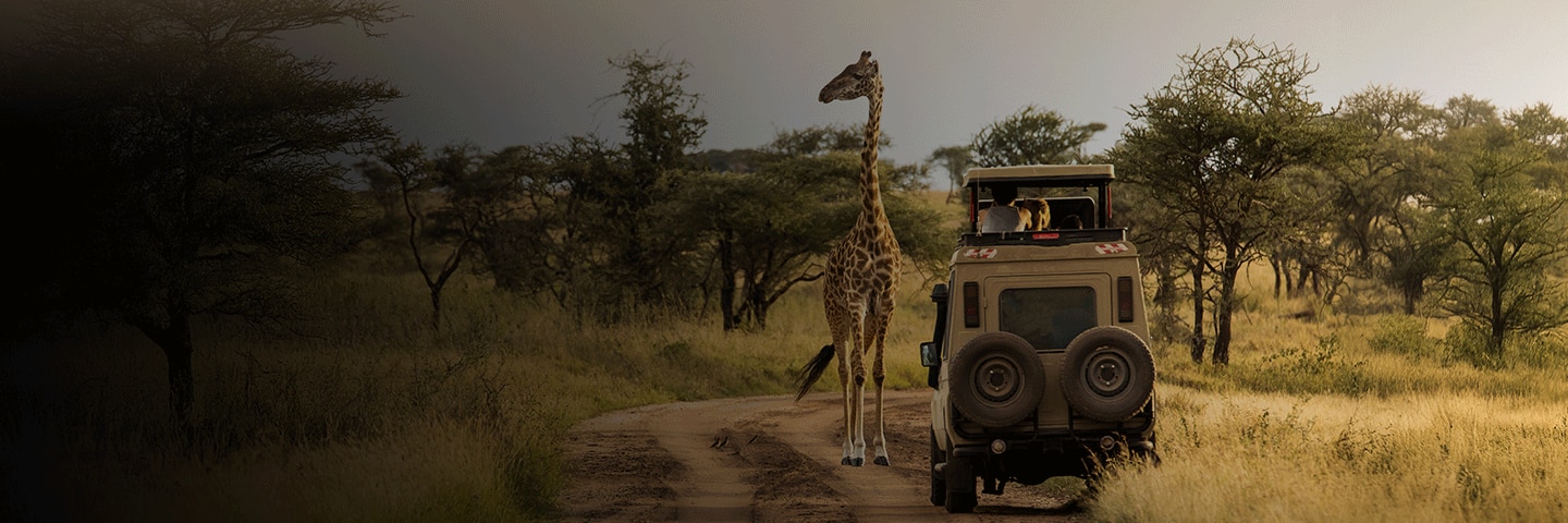 Pre- & Post-Cruise Land Programs