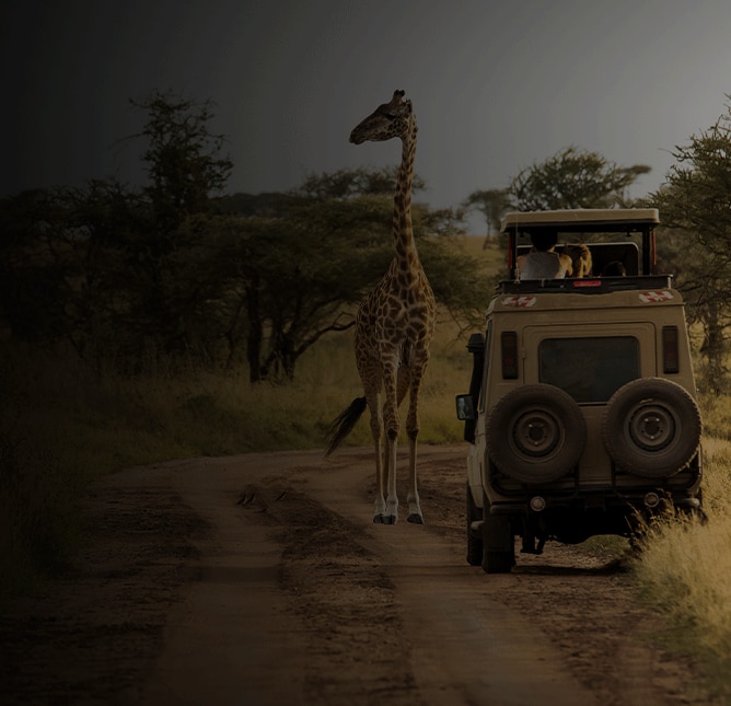 Pre- & Post-Cruise Land Programs