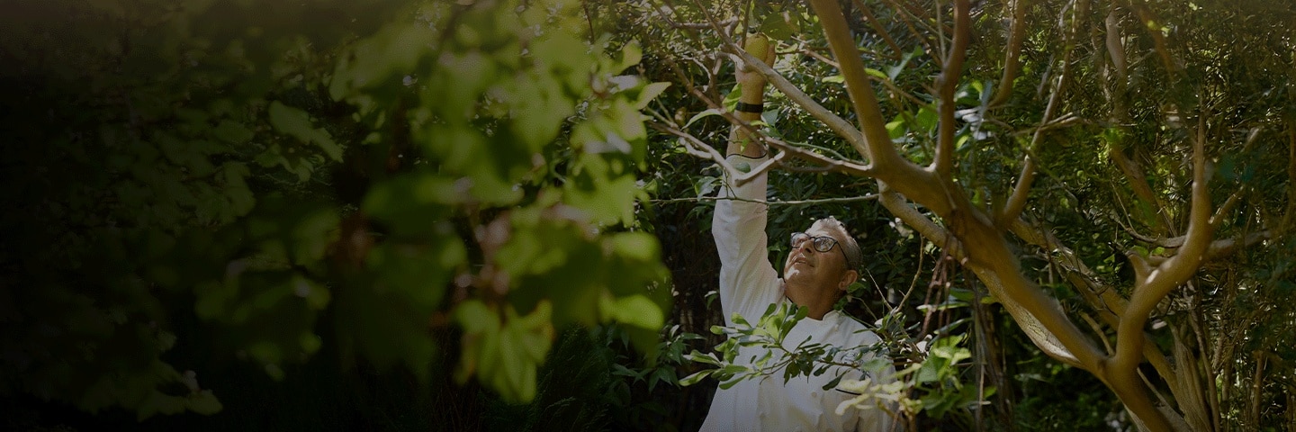 EPICUREAN EXPLORER TOURS