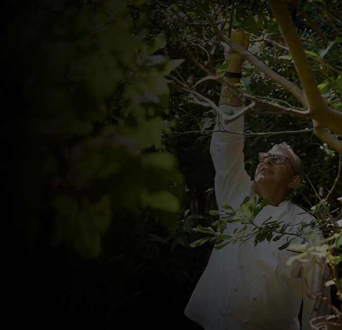 EPICUREAN EXPLORER TOURS