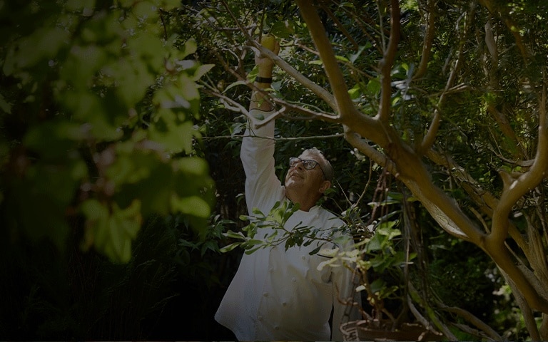 EPICUREAN EXPLORER TOURS