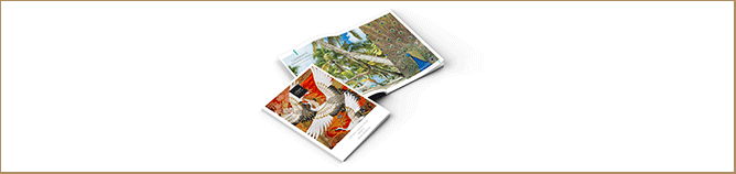 2027-2028 VOYAGE COLLECTION BROCHURE THUMBNAIL