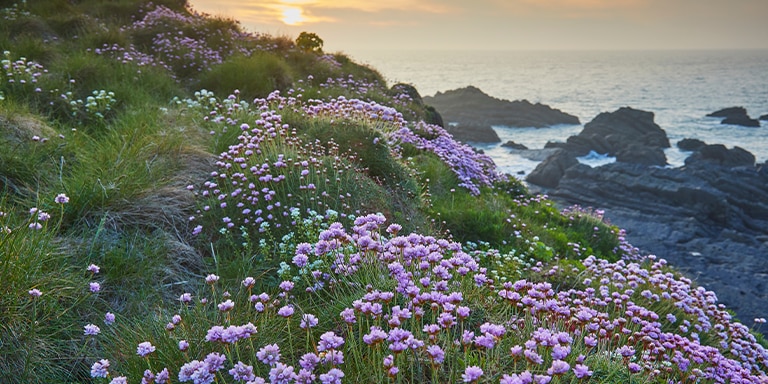 London (Southampton), England