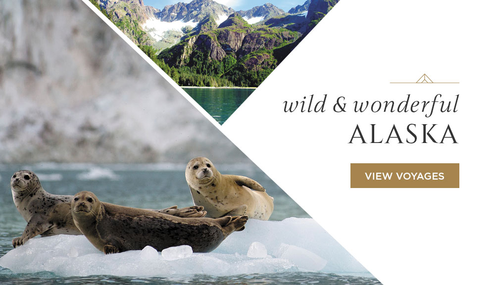 Wild & Wonderful Alaska