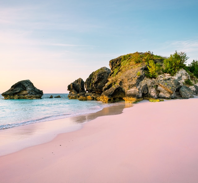Is the Sand in Bermuda Really Pink?