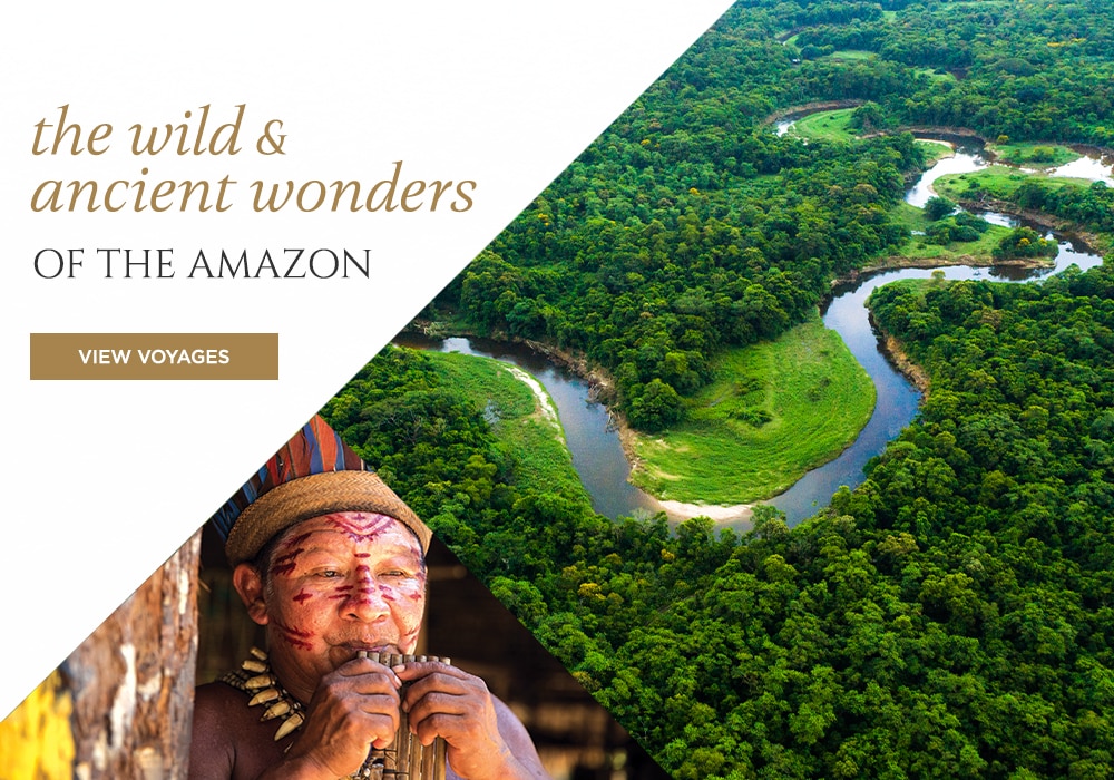 THE WILD & ANCIENT WONDERS OF THE                            AMAZON