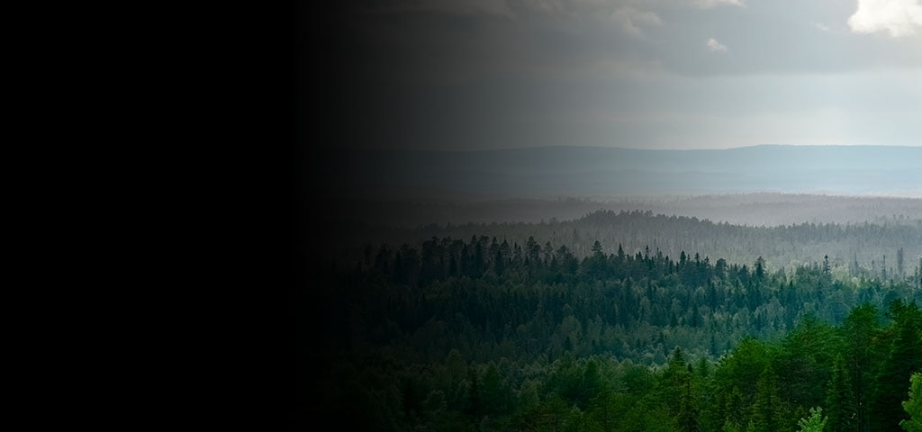 In Finland, Europe's Last Great Wilderness