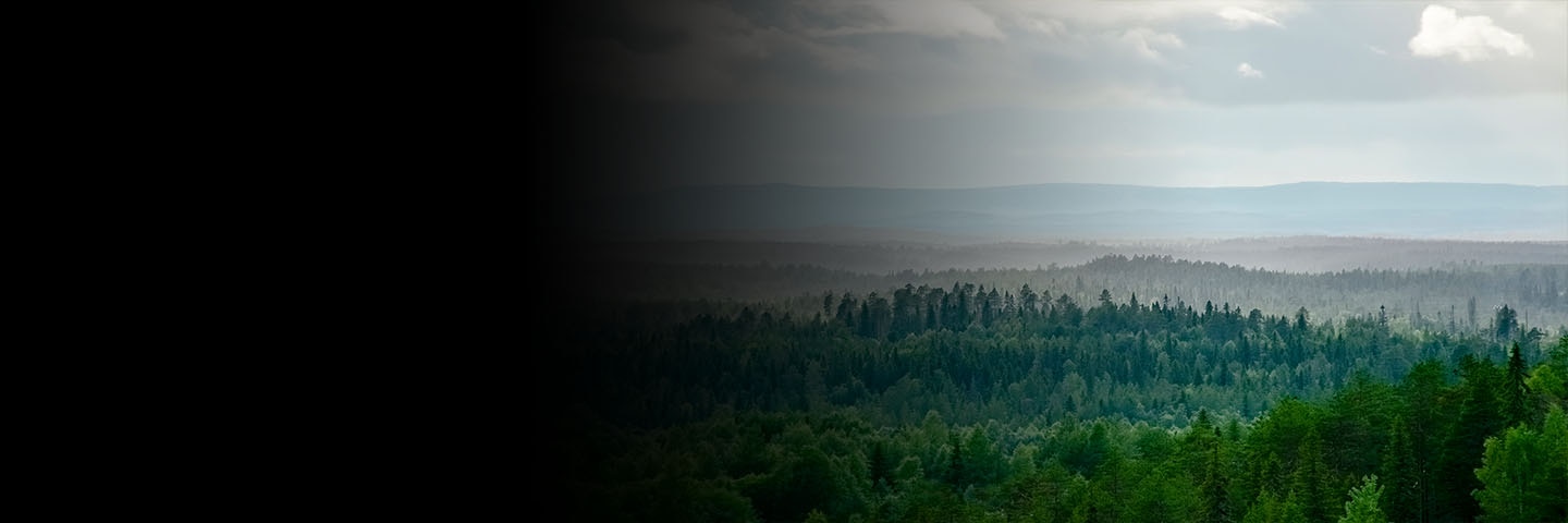 In Finland, Europe's Last Great Wilderness