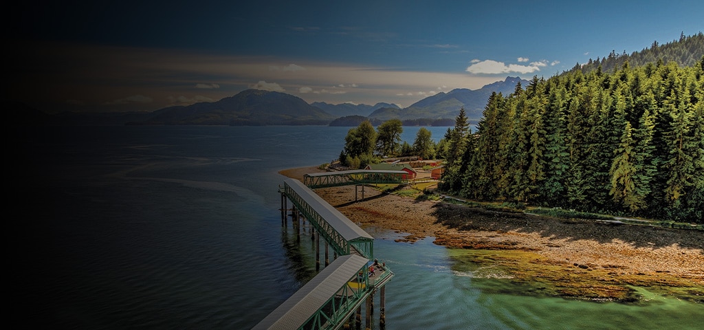 Cruzeiro de Luxo para o Icy Strait Point, Alasca