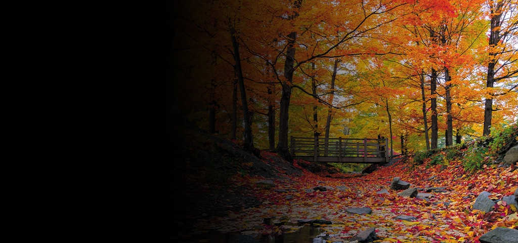 Top 5 Spots to See the Colors of Fall