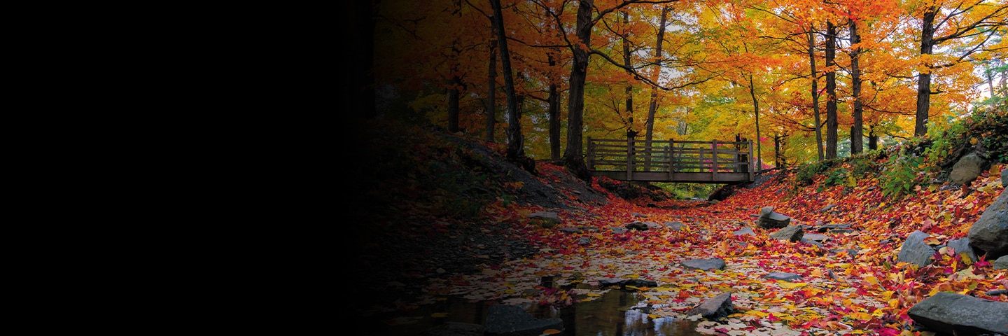 Top 5 Spots to See the Colors of Fall