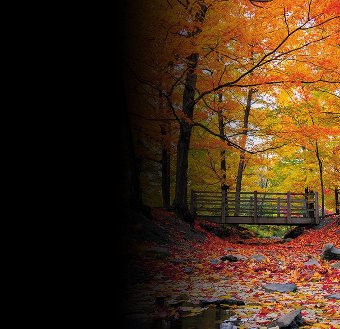 Top 5 Spots to See the Colors of Fall