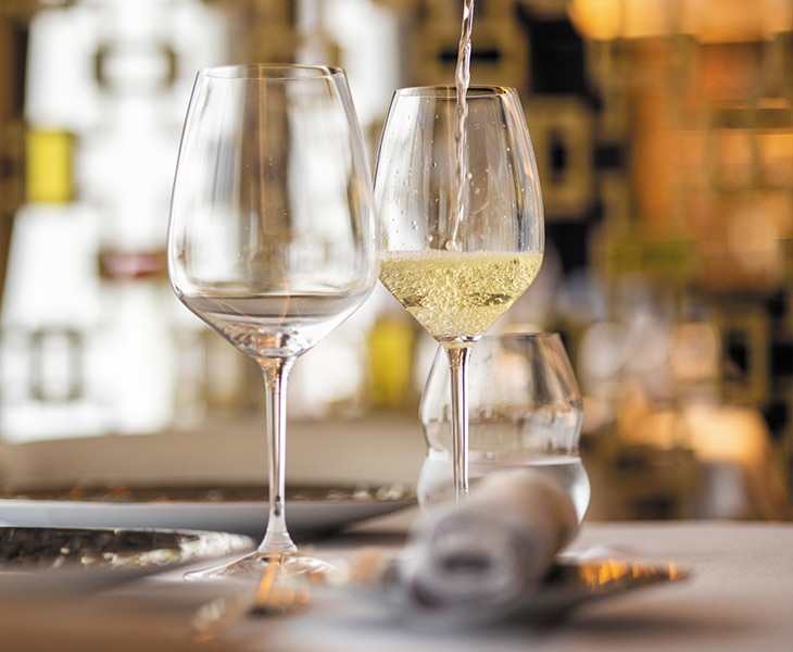 Spotlight on Wine with Palmaz Vineyards